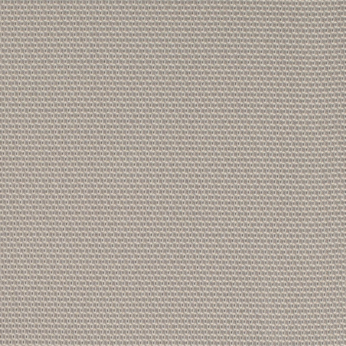 Charlotte D4624 Platinum Fabric Sample