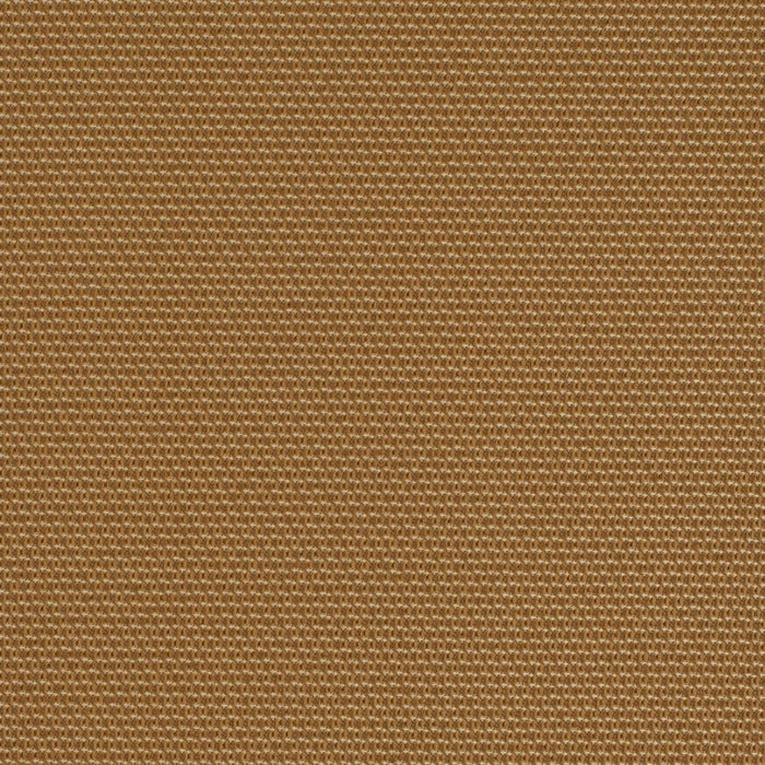 Charlotte D4625 Golden Fabric Sample