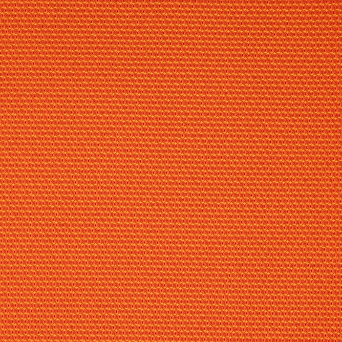 Charlotte D4626 Pumpkin Fabric