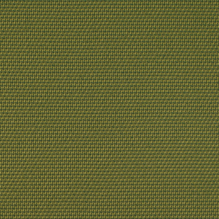 Charlotte D4629 Lime Fabric Sample