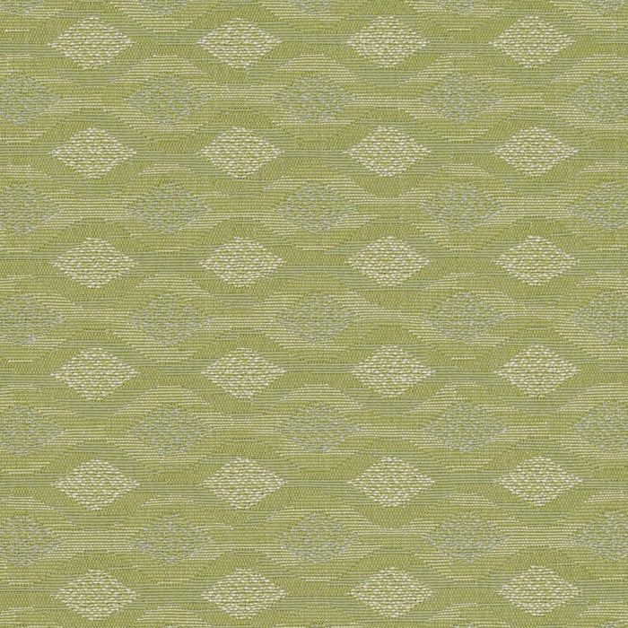 Charlotte D4647 Sage Fabric Sample
