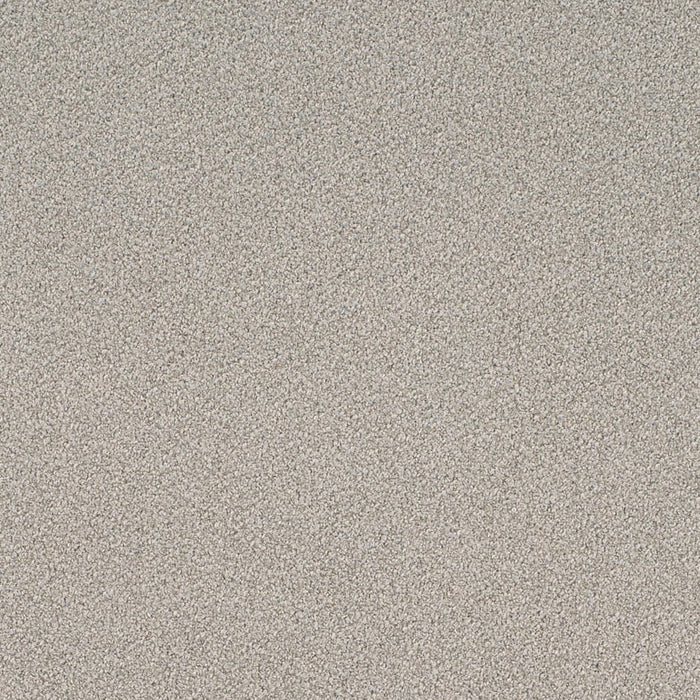 Charlotte D4658 Sterling Fabric Sample