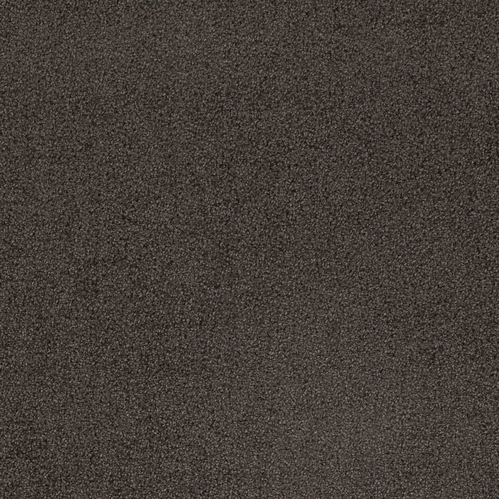 Charlotte D4659 Ash Fabric