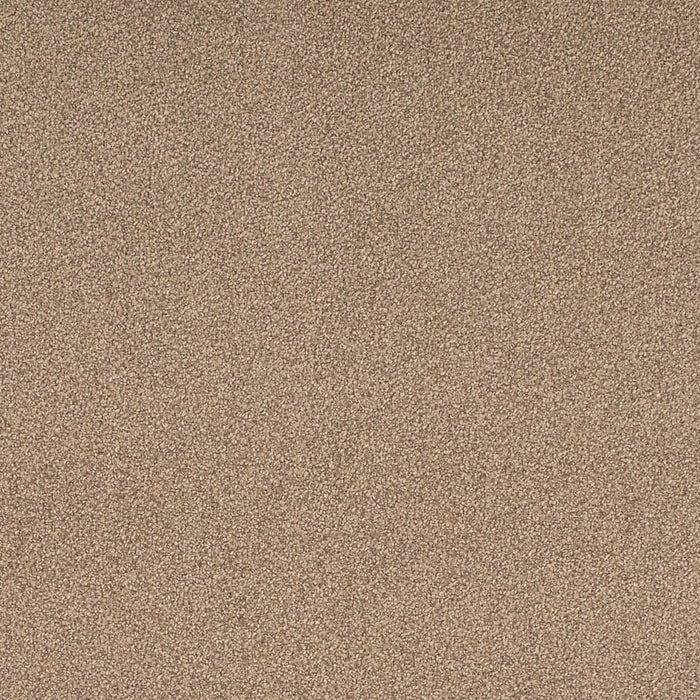 Charlotte D4662 Taupe Fabric Sample