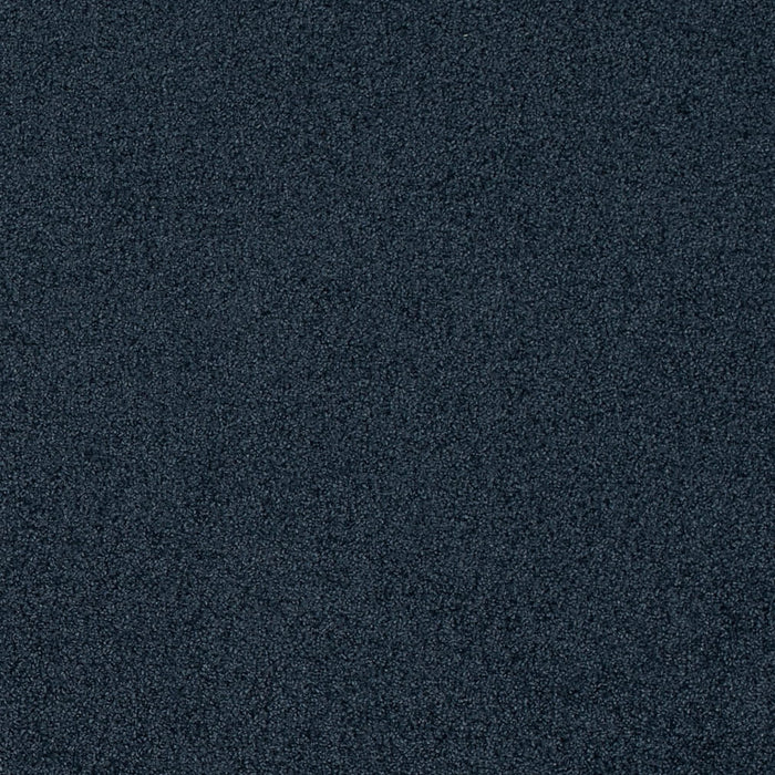 Charlotte D4663 Blueberry Fabric Sample