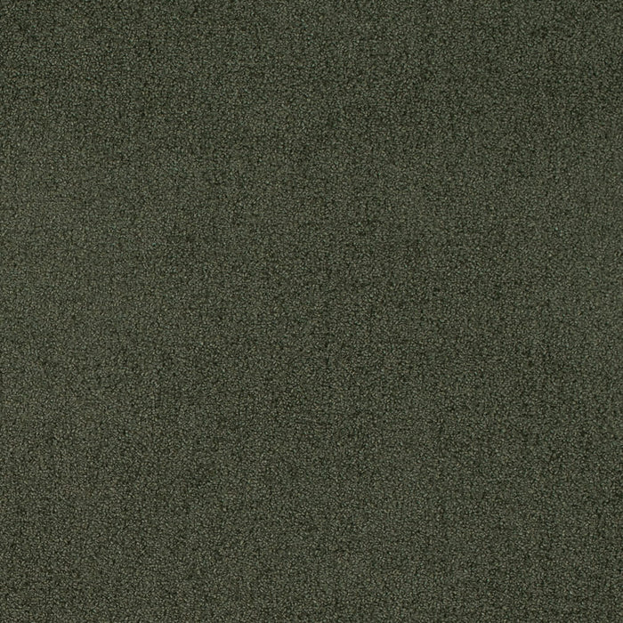 Charlotte D4665 Eucalyptus Fabric Sample