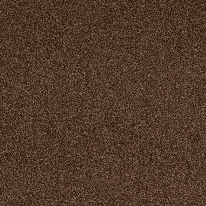 Charlotte D4667 Pecan Fabric Sample