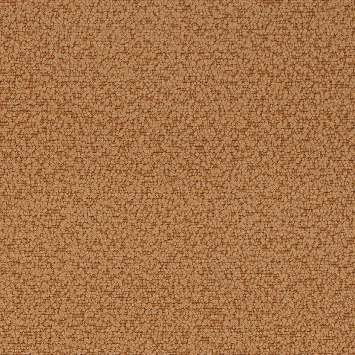 Charlotte D4679 Tawny Fabric Sample