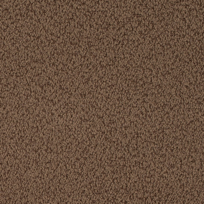 Charlotte D4682 Cappuccino Fabric Sample