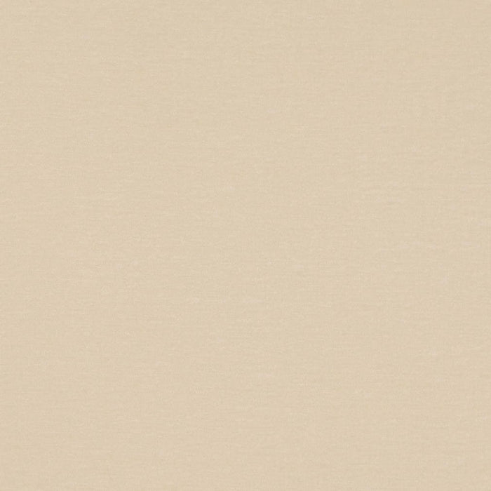 Charlotte D4699 Pearl Fabric Sample