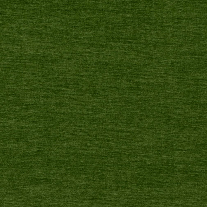 Charlotte D4709 Grass Fabric Sample