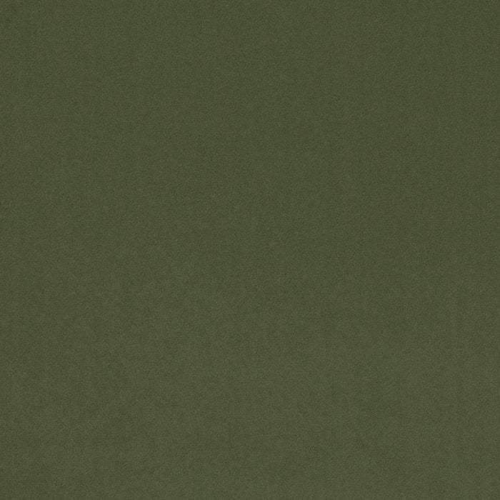Charlotte D4769 Basil Fabric Sample