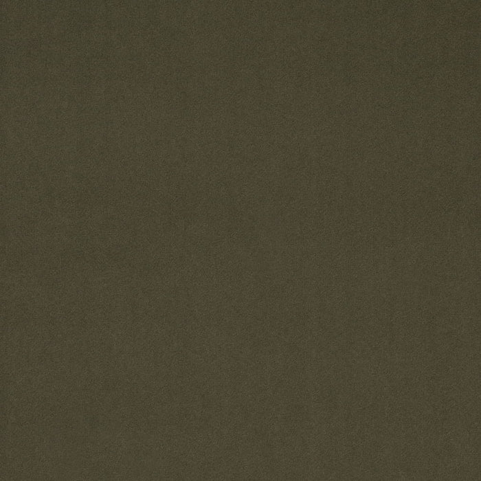 Charlotte D4772 Moss Fabric Sample