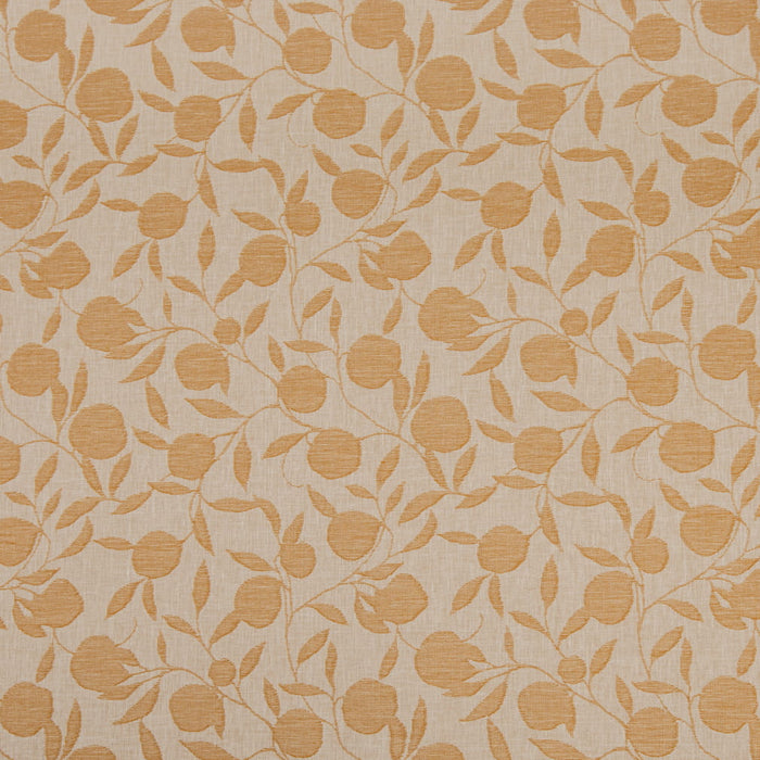 Charlotte D4792 Orchard Amber Fabric