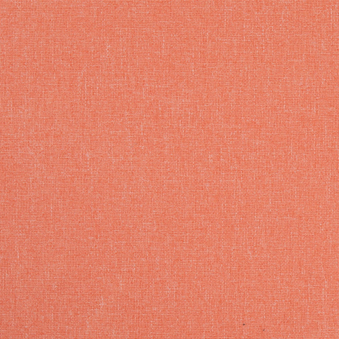 Charlotte D4825 Cantaloupe Fabric Sample