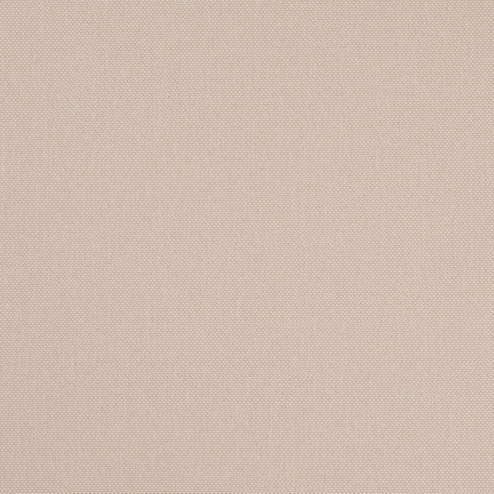 Charlotte D4847 Alabaster Fabric Sample