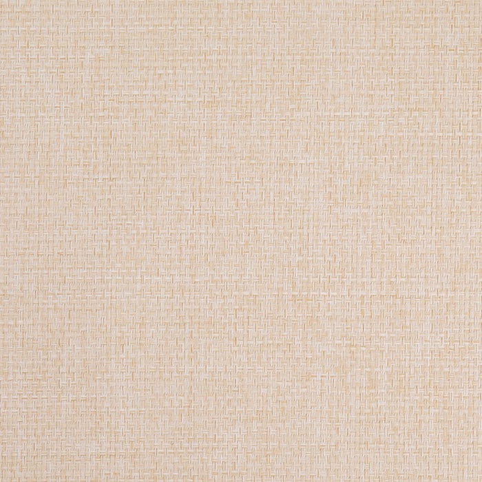 Charlotte D4855 Vanilla Fabric Sample