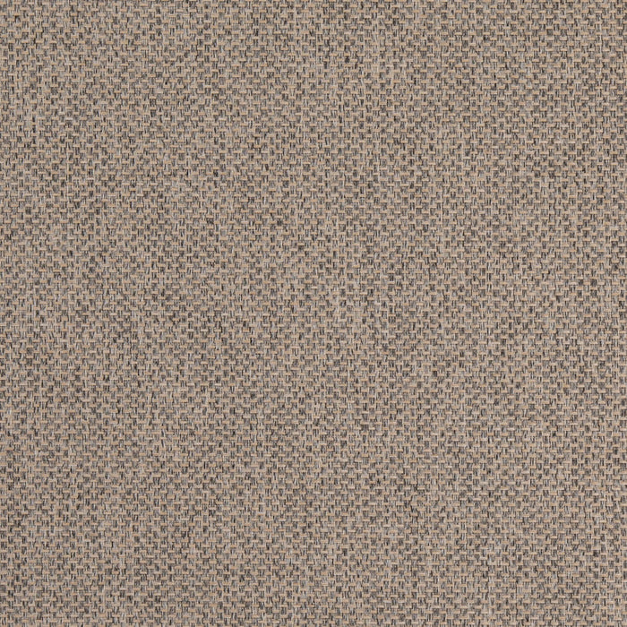 Charlotte D4859 Dove Fabric