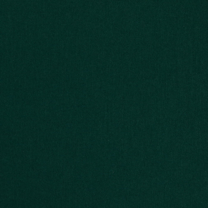 Charlotte D4875 Hunter Fabric Sample