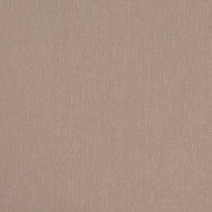Charlotte D4884 Latte Fabric Sample