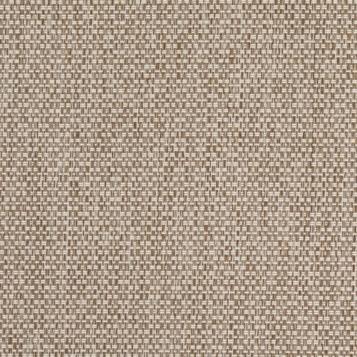 Charlotte D4889 Mushroom Fabric Sample