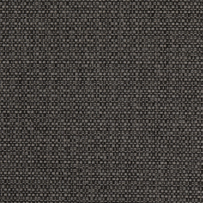 Charlotte D4890 Lead Fabric