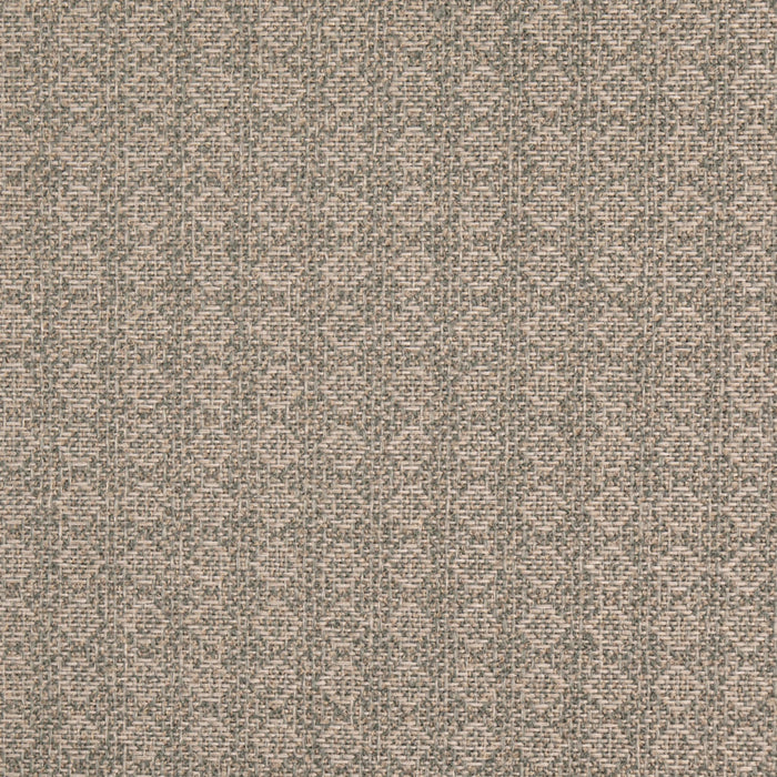 Charlotte D4980 Mineral Fabric