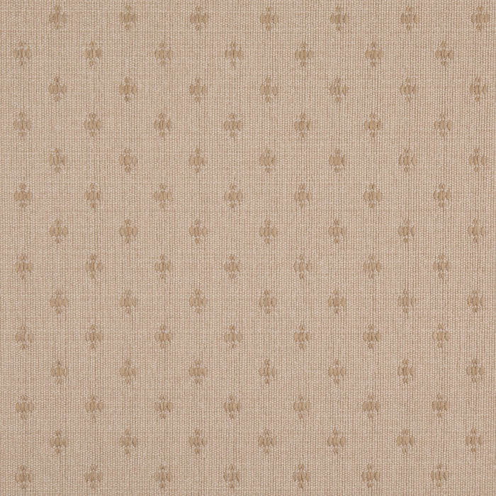 Charlotte D4982 Antique Fabric Sample