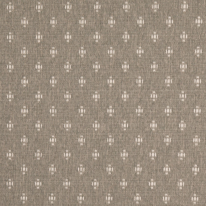 Charlotte D4988 Haze Fabric Sample