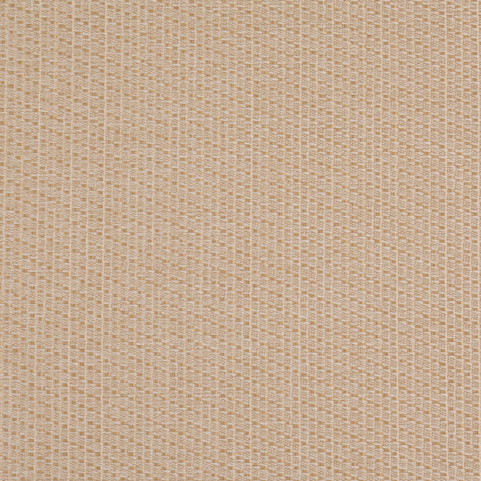 Charlotte D4991 Flax Fabric