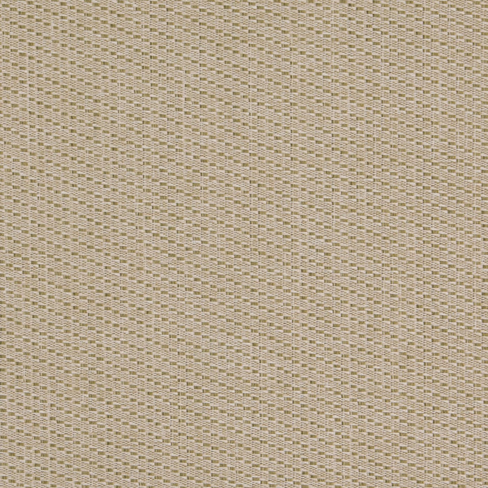 Charlotte D4995 Spring Fabric