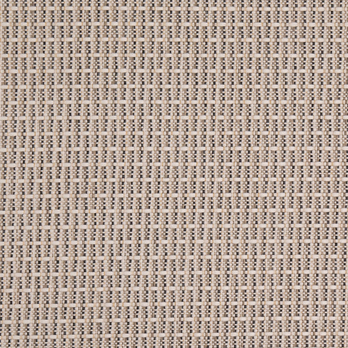 Charlotte D4999 Stone Fabric Sample