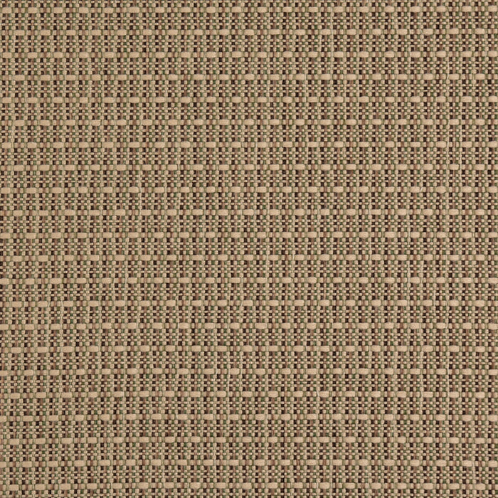 Charlotte D5001 Lichen Fabric