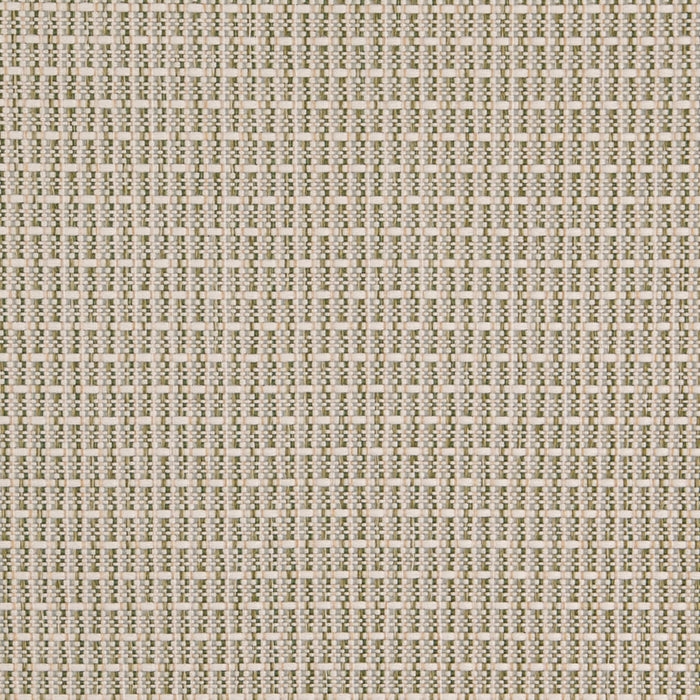 Charlotte D5002 Basil Fabric Sample