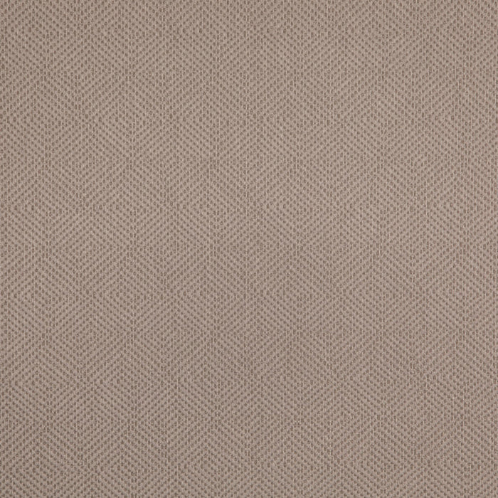 Charlotte D5024 Dove Fabric