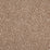 Charlotte D5034 Camel Fabric Sample
