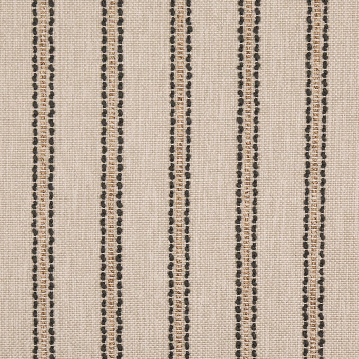 Charlotte D5083 Caper Fabric Sample