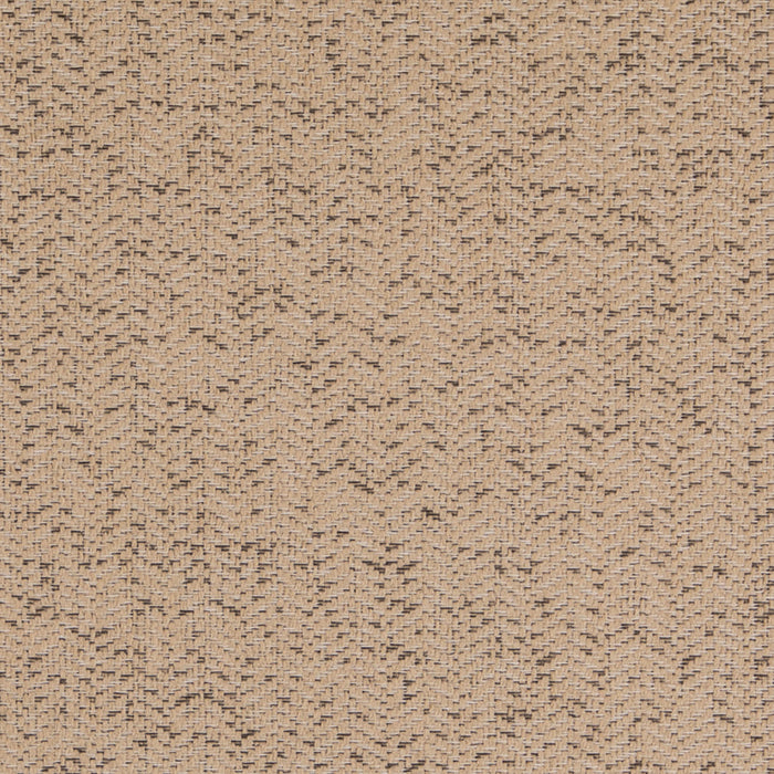 Charlotte D5139 Abalone Fabric Sample