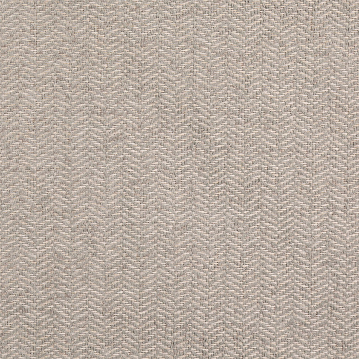 Charlotte D5141 Sterling Fabric Sample