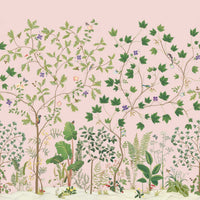 Sanderson Sycamore and Oak Wild Rose Wallpaper DABW217213