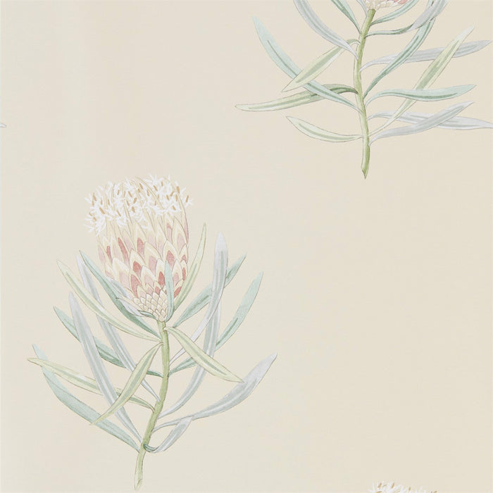 Sanderson Protea Flower Russet/Green Wallpaper Sample DART216329