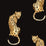 Daisy Bennett Leopard King Black Wallpaper DB20200