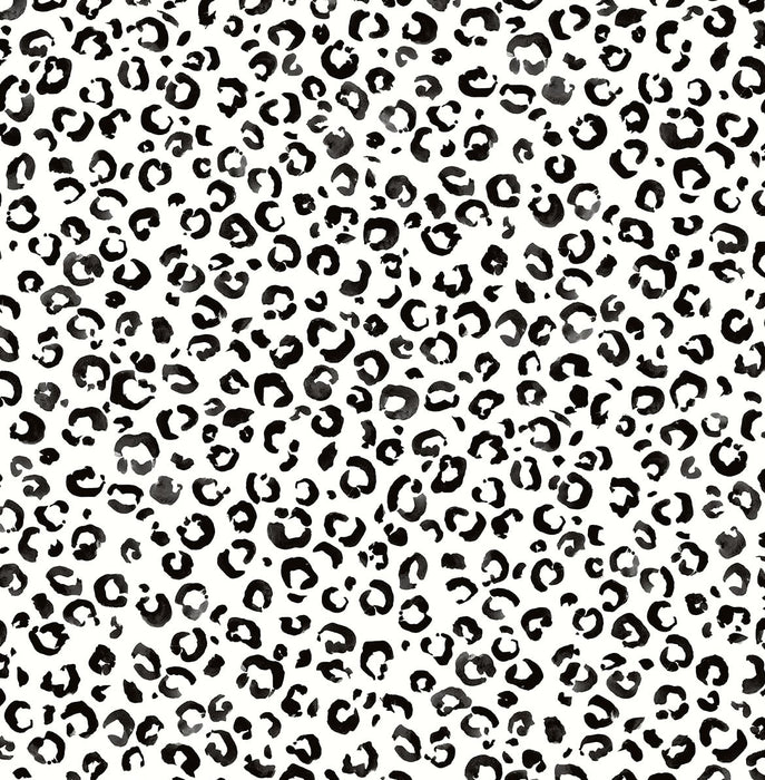Daisy Bennett Classic Leopard Black And White Wallpaper Sample DB20600