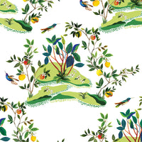 Daisy Bennett Citrus Hummingbird White Wallpaper DBW9001