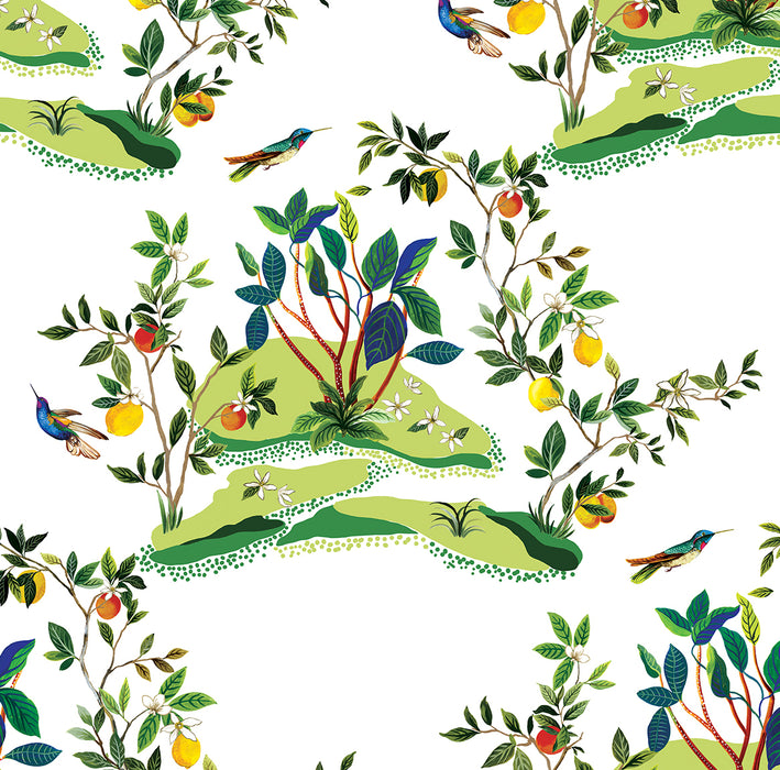 Daisy Bennett Citrus Hummingbird White Wallpaper Sample DBW9001
