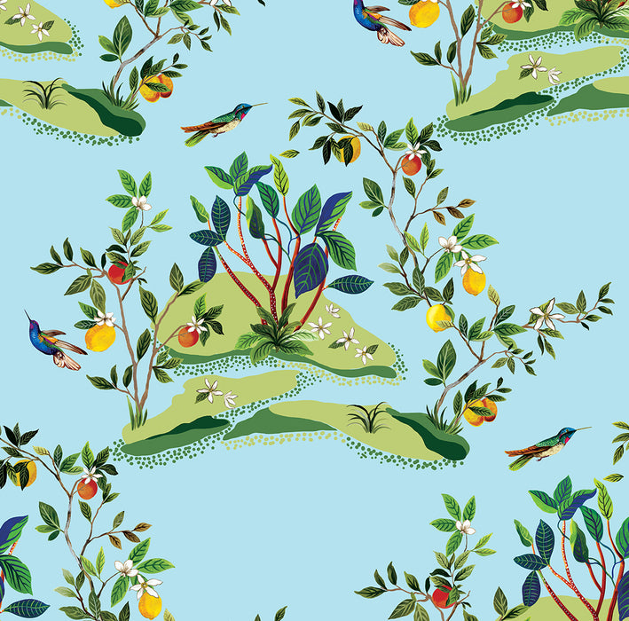 Daisy Bennett Citrus Hummingbird Sky Blue Wallpaper Sample DBW9003
