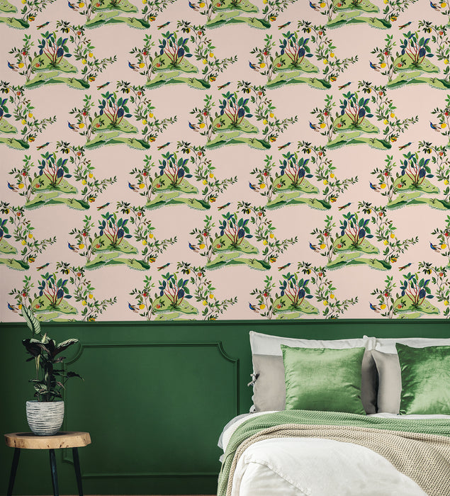 Daisy Bennett Citrus Hummingbird Blush Wallpaper DBW9004
