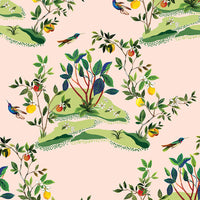 Daisy Bennett Citrus Hummingbird Blush Wallpaper DBW9004