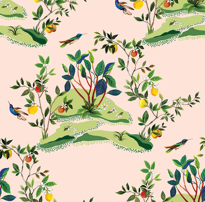 Daisy Bennett Citrus Hummingbird Blush Wallpaper DBW9004