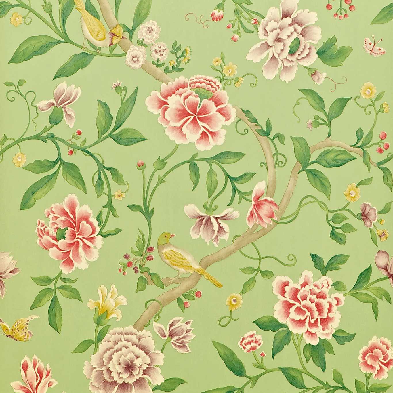 Sanderson Porcelain Garden Rose/ Fennel Wallpaper Sample DCAVPO101